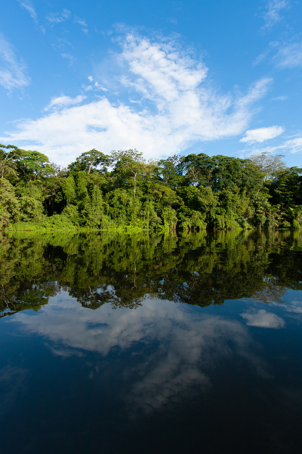Rainforest is reflected on the silent waters of one of Tortugeuro's many water channels.